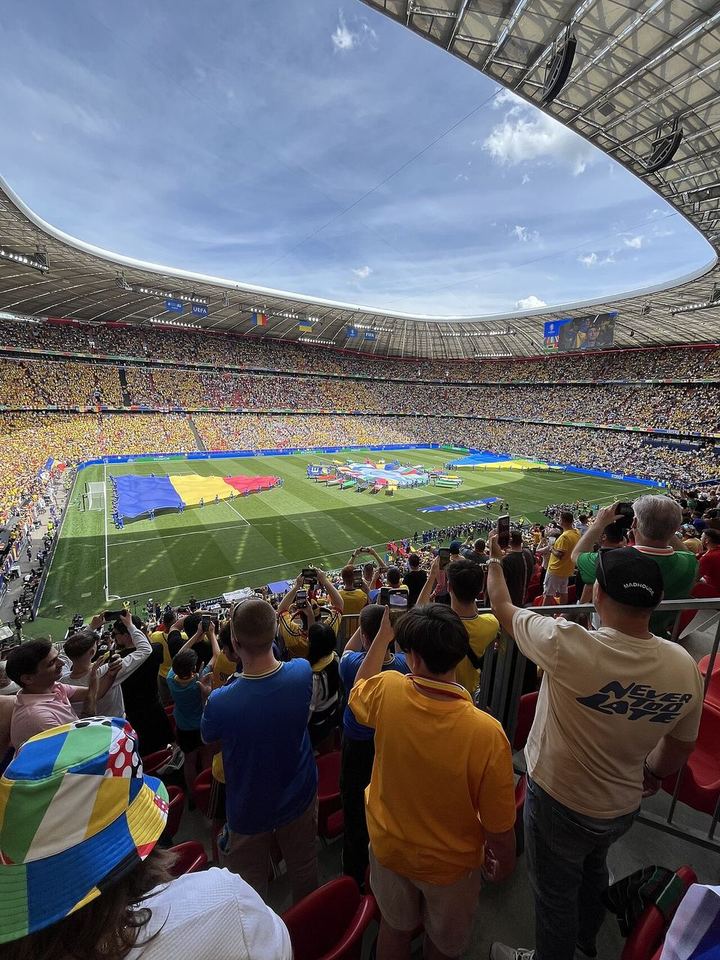 爱游戏 · 草甸赛照（资料示意）